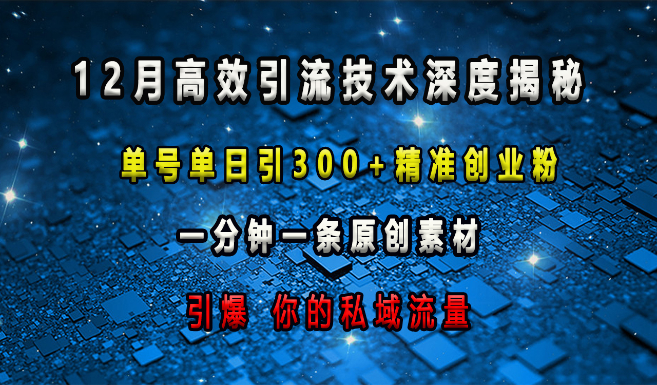 12月高效引流技术深度揭秘 ，单号单日引300+精准创业粉，一分钟一条原创素材，引爆你的私域流量AI写作变现实战课|独家社群运营赚钱项目|下班后轻松增加第二收入戴笠的金库
