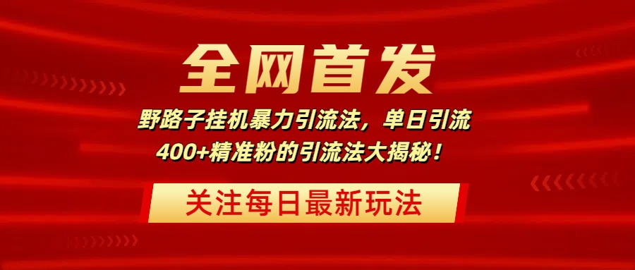 全网首发，野路子挂机暴力引流法，单日引流400+精准粉的引流法大揭秘！AI写作变现实战课|独家社群运营赚钱项目|下班后轻松增加第二收入戴笠的金库