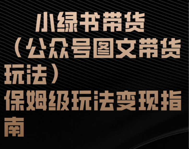 小绿书带货（公众号图文带货玩法）保姆级玩法变现指南AI写作变现实战课|独家社群运营赚钱项目|下班后轻松增加第二收入戴笠的金库