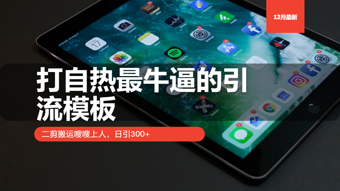 打自热最牛逼的引流模板，日引300+，二剪搬运嗖嗖上人AI写作变现实战课|独家社群运营赚钱项目|下班后轻松增加第二收入戴笠的金库