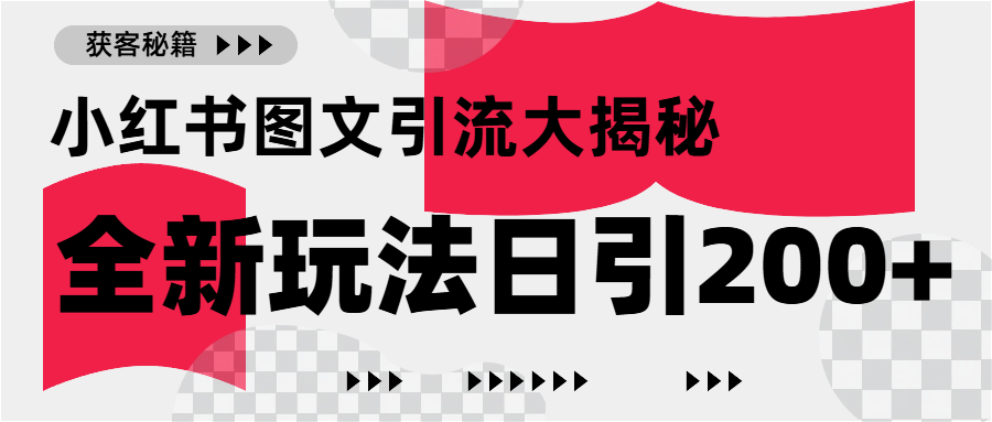 小红书图文引流，只需一张图片即可撬动百万流量，日引200+创业粉AI写作变现实战课|独家社群运营赚钱项目|下班后轻松增加第二收入戴笠的金库