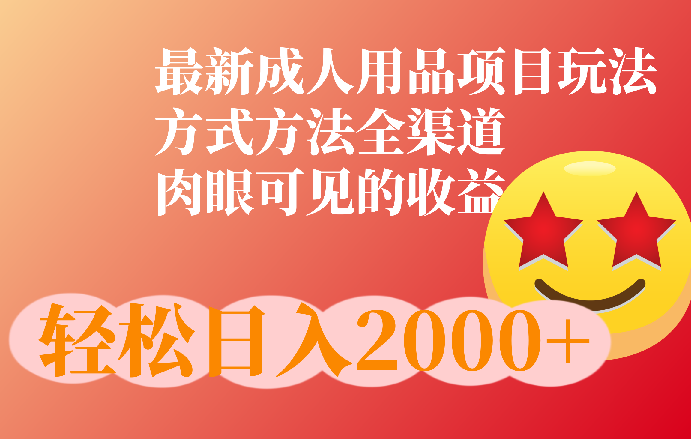 成人用品项目最新玩法，方式方法全渠道AI写作变现实战课|独家社群运营赚钱项目|下班后轻松增加第二收入戴笠的金库