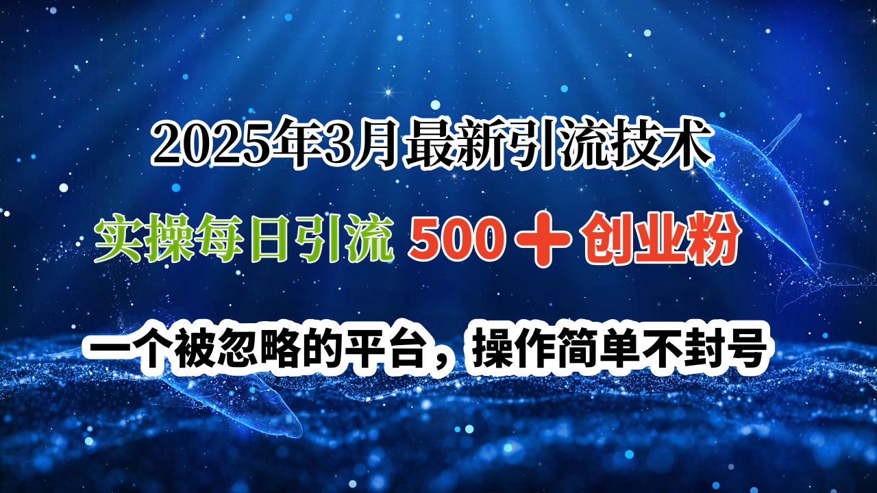 2025年3月最新引流技术，实操每日引流500➕创业粉，一个被忽略的平台，操作简单不封号AI写作变现实战课|独家社群运营赚钱项目|下班后轻松增加第二收入戴笠的金库