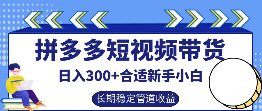 拼多多短视频带货日入300+实操落地流程AI写作变现实战课|独家社群运营赚钱项目|下班后轻松增加第二收入戴笠的金库