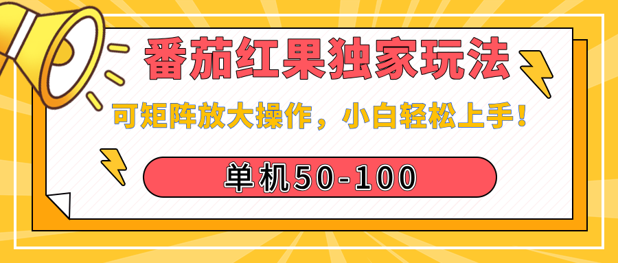 番茄红果独家玩法，单机50-100，可矩阵放大操作，小白轻松上手！AI写作变现实战课|独家社群运营赚钱项目|下班后轻松增加第二收入戴笠的金库