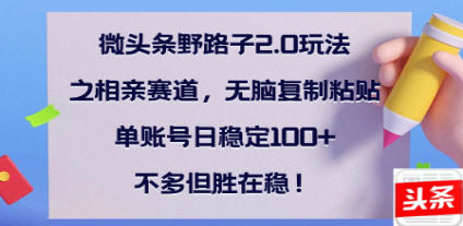 全网首发微头条野路子2.0玩法之相亲赛道，无脑搬砖复制粘贴，单账号日稳定300+保姆级教程AI写作变现实战课|独家社群运营赚钱项目|下班后轻松增加第二收入戴笠的金库
