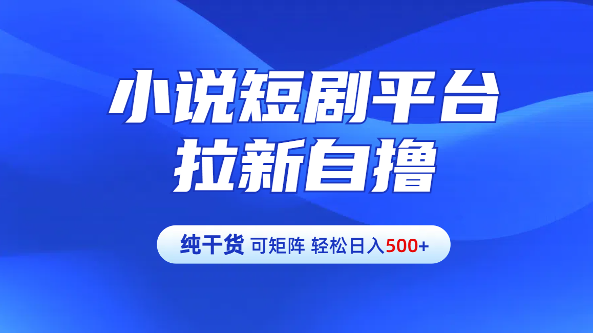 【纯干货】小说短剧平台拉新自撸玩法详解-单人轻松日入500+AI写作变现实战课|独家社群运营赚钱项目|下班后轻松增加第二收入戴笠的金库