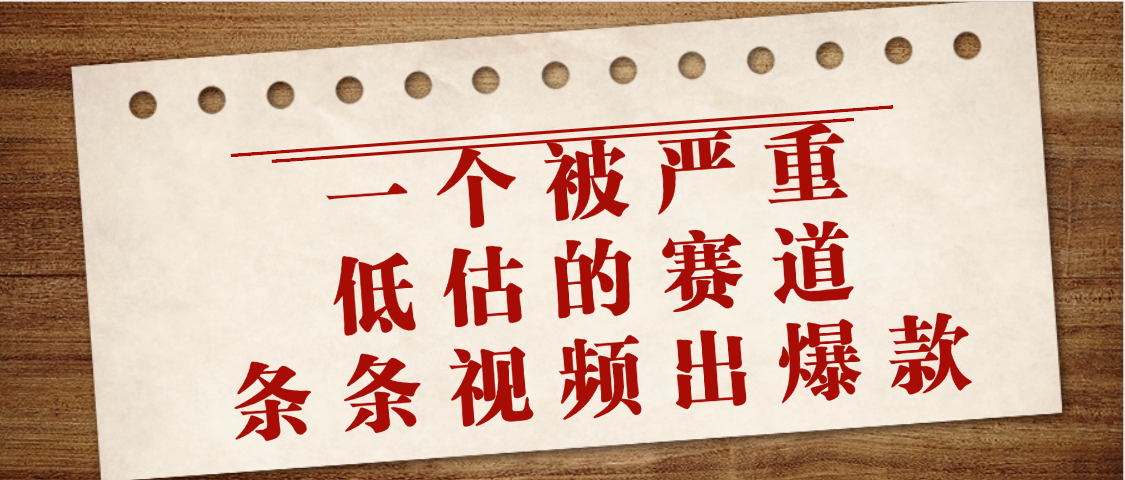 一个被严重低估的赛道，条条视频出爆款，一个月变现3万+AI写作变现实战课|独家社群运营赚钱项目|下班后轻松增加第二收入戴笠的金库