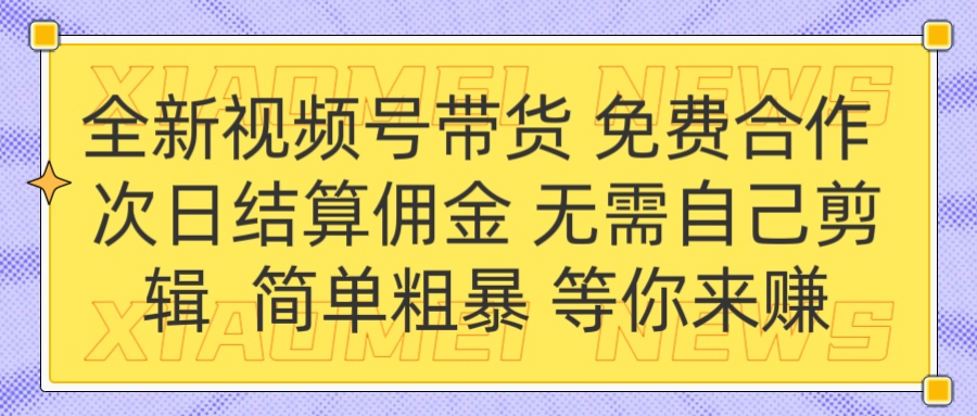 全新视频号 免费合作 佣金次日结算 无需自己剪辑AI写作变现实战课|独家社群运营赚钱项目|下班后轻松增加第二收入戴笠的金库