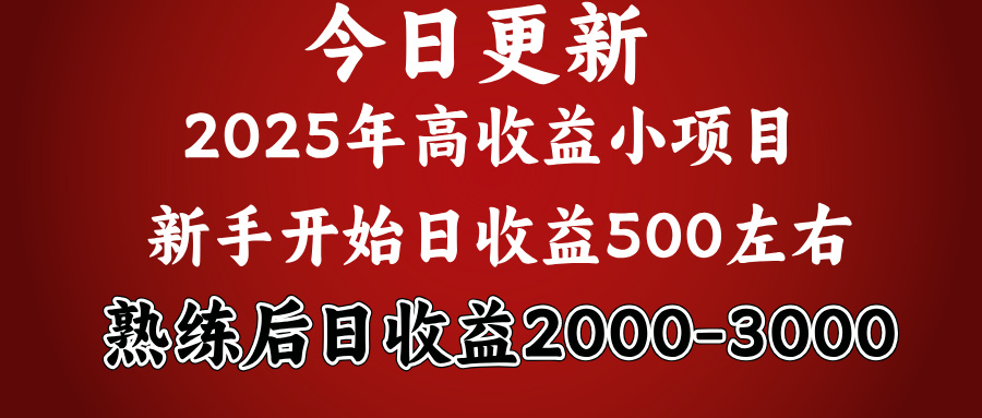 2025开年好项目，新手日收益500+ 熟练掌握后，日收益平均2000多AI写作变现实战课|独家社群运营赚钱项目|下班后轻松增加第二收入戴笠的金库