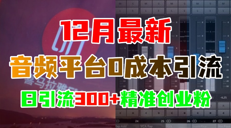 12月最新：音频平台0成本引流，日引300+精准创业粉AI写作变现实战课|独家社群运营赚钱项目|下班后轻松增加第二收入戴笠的金库