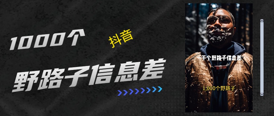 抖音一千个野路子信息差最新玩法教程引流＋变现的玩法具体拆解AI写作变现实战课|独家社群运营赚钱项目|下班后轻松增加第二收入戴笠的金库