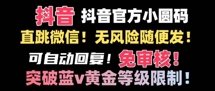 抖音二维码直跳微信技术！站内随便发不违规！！AI写作变现实战课|独家社群运营赚钱项目|下班后轻松增加第二收入戴笠的金库
