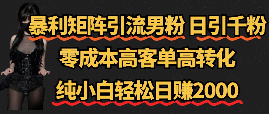 暴利矩阵引流男粉（日引千粉），零成本高客单高转化，纯小白轻松日赚2000+AI写作变现实战课|独家社群运营赚钱项目|下班后轻松增加第二收入戴笠的金库