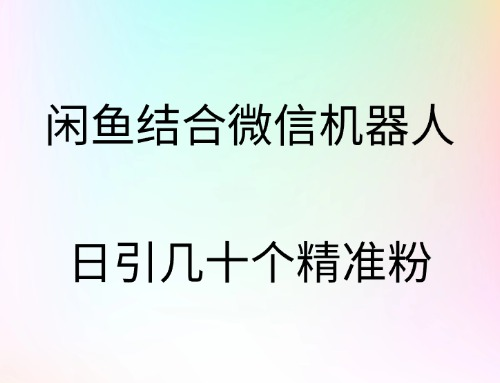 闲鱼结合微信机器人，日引几十个精准粉AI写作变现实战课|独家社群运营赚钱项目|下班后轻松增加第二收入戴笠的金库