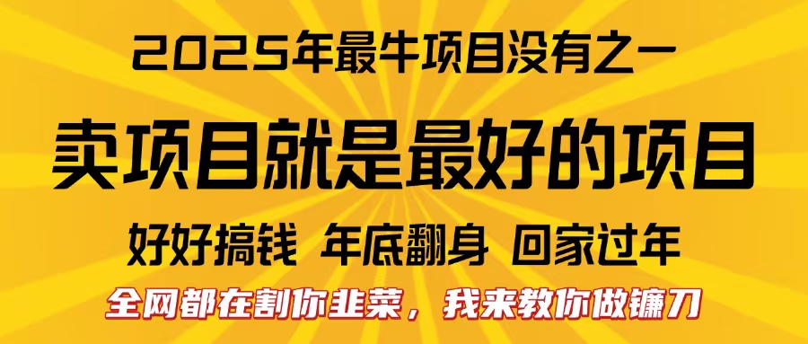全网都在割你韭菜，我来教你做镰刀。卖项目就是最好的项目，2025年最牛互联网项目AI写作变现实战课|独家社群运营赚钱项目|下班后轻松增加第二收入戴笠的金库