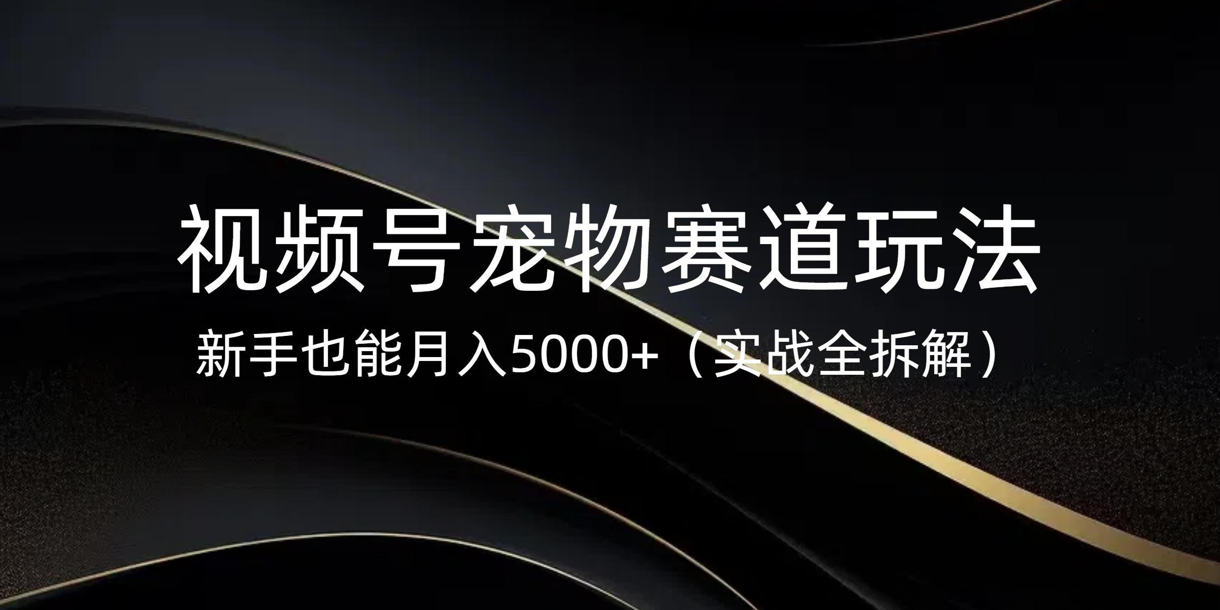 视频号宠物赛道玩法，新手也能月入5000+（实战全拆解）AI写作变现实战课|独家社群运营赚钱项目|下班后轻松增加第二收入戴笠的金库