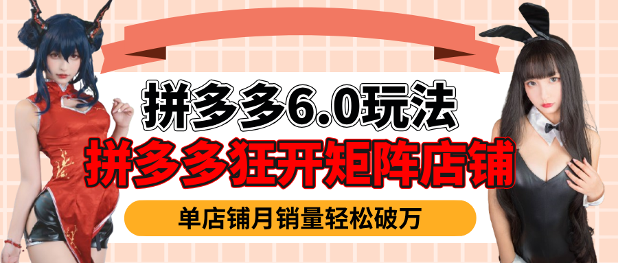 拼多多虚拟商品暴利6.0玩法，轻松实现月入过万AI写作变现实战课|独家社群运营赚钱项目|下班后轻松增加第二收入戴笠的金库