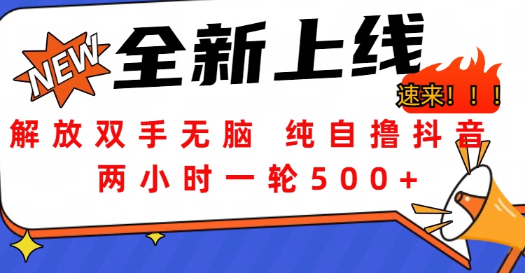 解放双手无脑 纯自撸抖音 两小时一轮500+AI写作变现实战课|独家社群运营赚钱项目|下班后轻松增加第二收入戴笠的金库