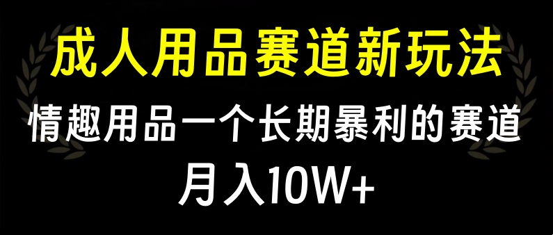 大人用品赛道新玩法，情趣用品一个长期暴利的赛道，月入10W+AI写作变现实战课|独家社群运营赚钱项目|下班后轻松增加第二收入戴笠的金库