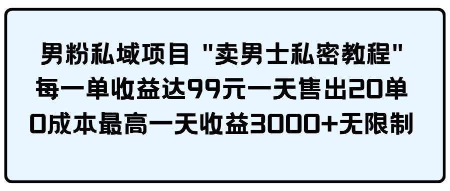男粉私域项目 卖男士私密教程 每一单收益达99元一天售出20单AI写作变现实战课|独家社群运营赚钱项目|下班后轻松增加第二收入戴笠的金库