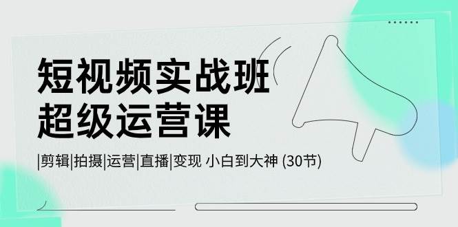 短视频实战班-超级运营课，|剪辑|拍摄|运营|直播|变现 小白到大神 (30节)AI写作变现实战课|独家社群运营赚钱项目|下班后轻松增加第二收入戴笠的金库