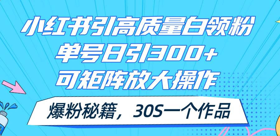 小红书引高质量白领粉，单号日引300+，可放大操作，爆粉秘籍！30s一个作品AI写作变现实战课|独家社群运营赚钱项目|下班后轻松增加第二收入戴笠的金库