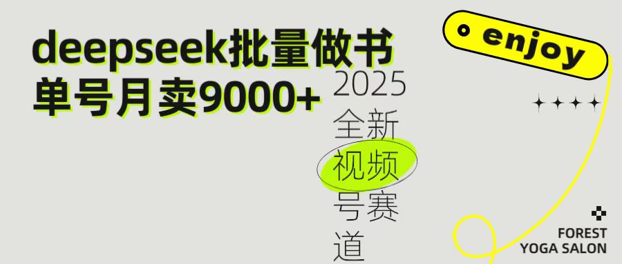 2025最新视频号项目 如何用Deepseek快速批量制作书单号 日入1000＋AI写作变现实战课|独家社群运营赚钱项目|下班后轻松增加第二收入戴笠的金库